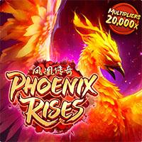 King403 Phoenix Rises